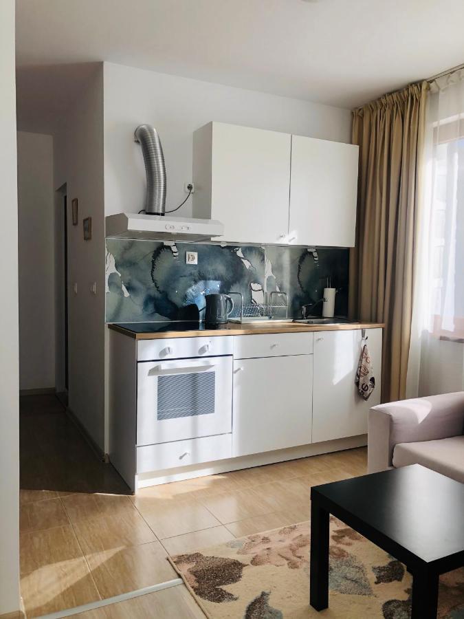 Temerso Studio-Apartment บันสโก ภายนอก รูปภาพ